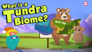 TUNDRA BIOME  What Is A Tundra Biome  Tundra Region  The Dr Binocs Show  Peekaboo Kidz [upl. by Heyer]