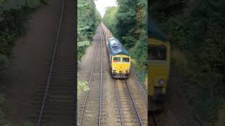 CLASS 66 DONCASTER UP DECOY TOTON NORTH YARD [upl. by Silenay]