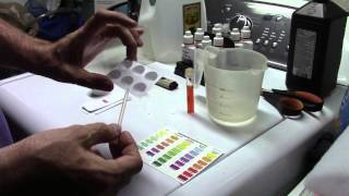 Comparing API and Seachem Nitrate Test Kits [upl. by Hairacaz]