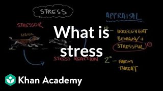 What is stress  Processing the Environment  MCAT  Khan Academy [upl. by Owain]