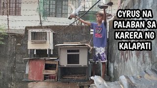 BATANG FANCIER NG NORTH CALOOCAN NAPALABAN ULIT SA KARERA NG KALAPATI [upl. by Iorgos86]