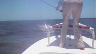 Tarpon Fly Fishing  Crazy Jumping Fish [upl. by Delija]