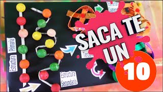 ESTRUCTURA DE LAS PROTEÍNAS MAQUETA PARA PROYECTO DE CIENCIAS  SACATE UN 10 EN TU PROYECTO ESCOLAR [upl. by Nnodnarb]