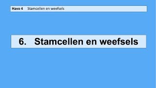 6 Stamcellen en weefsels [upl. by Plafker]