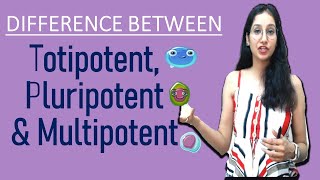 Difference Between Totipotent Pluripotent and Multipotent I NEET GATE CSIRNET IITJAM DBT ICAR ICMR [upl. by Kissee]