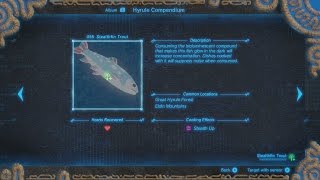 BotW Stealthfin Trout Location [upl. by Kajdan]