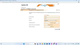 How to register a Quebec online business account [upl. by Anirda204]