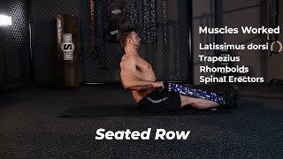 Seated Row  Innstar Resistance Band Strength Workout Guide [upl. by Htepsle]