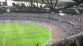 2023 Anzac Day Collingwood comeback chant holy crap 95000 [upl. by Rusticus]