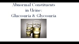 Glucosuria and Glycosuria [upl. by Gasper]