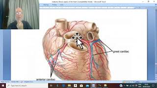 CVS module 14  Venous drainage of the heart   by Dr Wahdan [upl. by Nylimaj299]