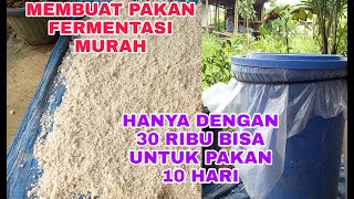 Cara membuat pakan fermentasi dengan biaya murah hanya 30 ribu bisa untuk pakan ternak 10 hari [upl. by Aihpled]