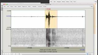 Recording a sound file and viewing a spectrogram in Praat [upl. by Obala]