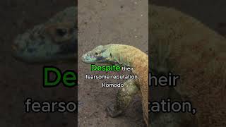 Shocking Facts About Komodo Dragons That Will Amaze You komodo animalfacts [upl. by Selhorst643]