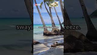 Best Beaches in Boracay  TravelLandmarkscom BoracayPhilippinesBeachParadise [upl. by Celie]