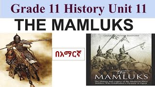 Mamluk Egypt Grade 11 History Unit 11 Amharic በአማርኛ Mamelukes Unit eleven Amharic [upl. by Asik]