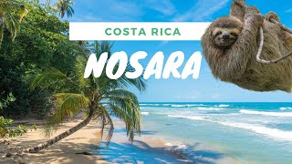 Nosara Costa Rica [upl. by Entirb770]