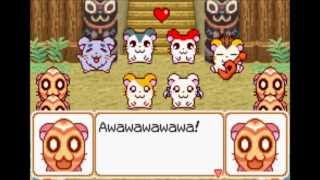 Lets play Hamtaro Ham Ham Heartbreak part 15 [upl. by Navillus]