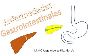 Enfermedades Gastrointestinales Salud Pública [upl. by Atcele]