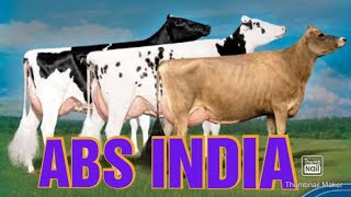 ABSSIRE DIRECTORY 202021 genus ABS india [upl. by Ahtibbat]