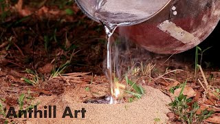 Casting a Fungus Farming Ant Colony with Molten Aluminum Cast 107 [upl. by Inaffit747]