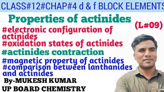 properties of actinides  properties of actinide series  class 12 actinides [upl. by Ellehcem258]