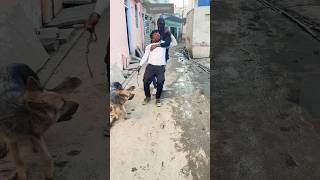 German Dog ne Bacchae Apnea Malik ki Jaan doglover shots short doglover shortsgerman [upl. by Elletsirhc]