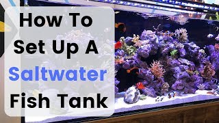 How I Built My Shallow Reef Tank How To Make a Reef Tank [upl. by Maise]