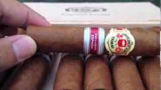 H Upmann No 2 Cigar of the Year Review [upl. by Nicks365]