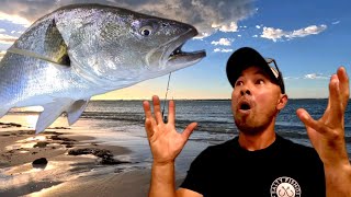 Chasing Monster Fish with Big Baits 🎣 [upl. by Dnomed482]