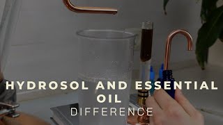 Hydrosol vs Essential oil  Beginners guide  distillation at home [upl. by Auguste]