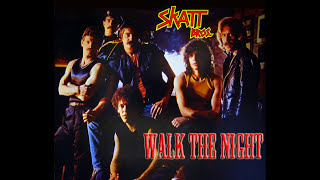 Skatt Bros  Walk The Night 1979 Disco Purrfection Version [upl. by Avid]