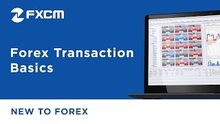 Forex Transaction Basics  Forex Trading for Beginners [upl. by Senecal]