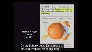 Bewijs voor evolutie het oog [upl. by Mathis]