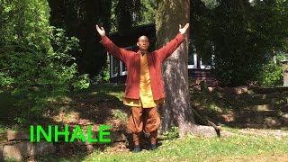 Qi Gong Breathing 7 Minutes to calm body and mind [upl. by Nosyrb]