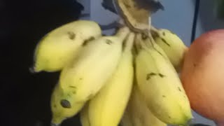 ALOT OF FRUITS Dal Adventures Vlog is live [upl. by Erreip]