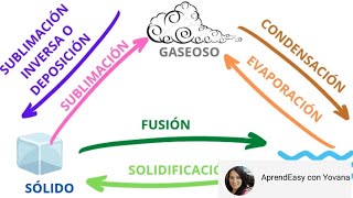 Cambios de Estado de la Materia FÁCIL 13 ejercicios para practicar [upl. by Christyna]