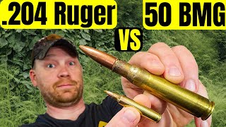 204 Ruger vs 50 BMG  Best Weed Killer [upl. by Dnartreb]