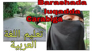 Barashada luqadda Carabiga تعليم اللغة العربية [upl. by Neukam731]