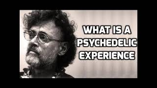 Terence McKenna  What Is a Psychedelic Experience [upl. by Christie]