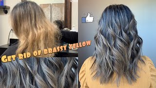 Toning Down Brassy Yellow Hair  Matrix Color sync [upl. by Gelya]