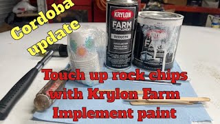 Krylon Implement paint to touch up rock chips on old car [upl. by Eibur]