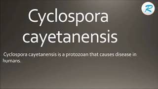 How to pronounce Cyclospora cayetanensis [upl. by Basir]