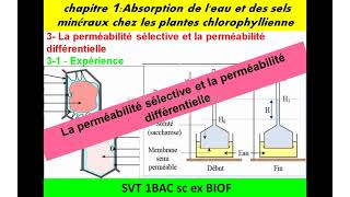 la perméabilité sélective et différentielle svt 1Bac sc ex option français شرح بالداريجة [upl. by Liberati]