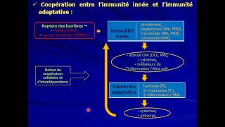 14 IMMUNOLOGIE S5  Mécanismes de défense part1 [upl. by Martie421]