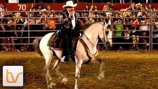 Joan Sebastian  Sangoloteadito Live [upl. by Plotkin]