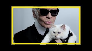 Choupette twittert Luxusleben als Katze von Karl Lagerfeld [upl. by Siuoleoj]