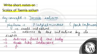 Write short notes on  Scolex of Taenia solium [upl. by Doralynne]