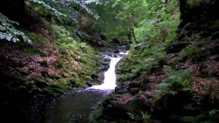 Ardennen  Ardennes Hockai Wandelen  Hiking  Fleet Foxes [upl. by Idnas]