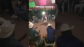 navojoa sonora [upl. by Pernas]